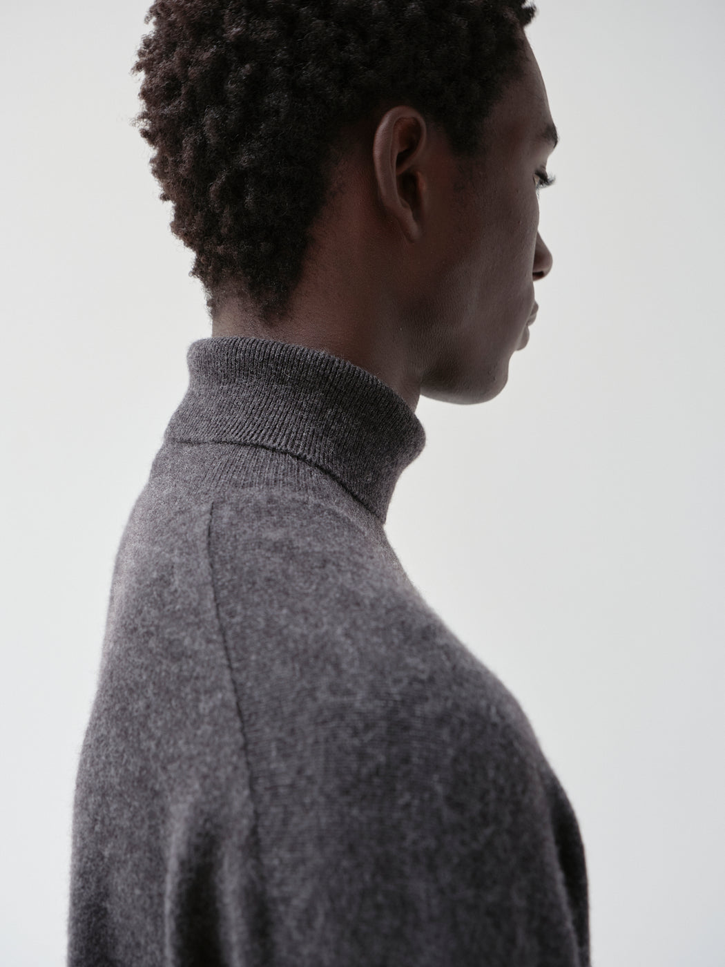 モンゴリアンカシミヤ タートルネック, Top Gray